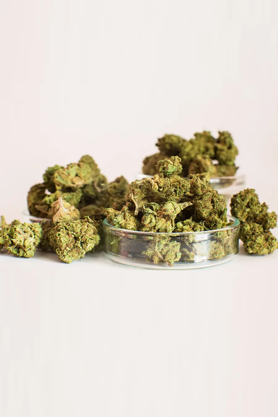 Flor-CBD-Smallbuds-cannatonic-Cannacbd (1) Cogollos Pequeños Cannatonic CBD