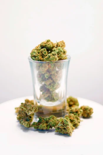 Cogollos Pequeños Amnesia CBD