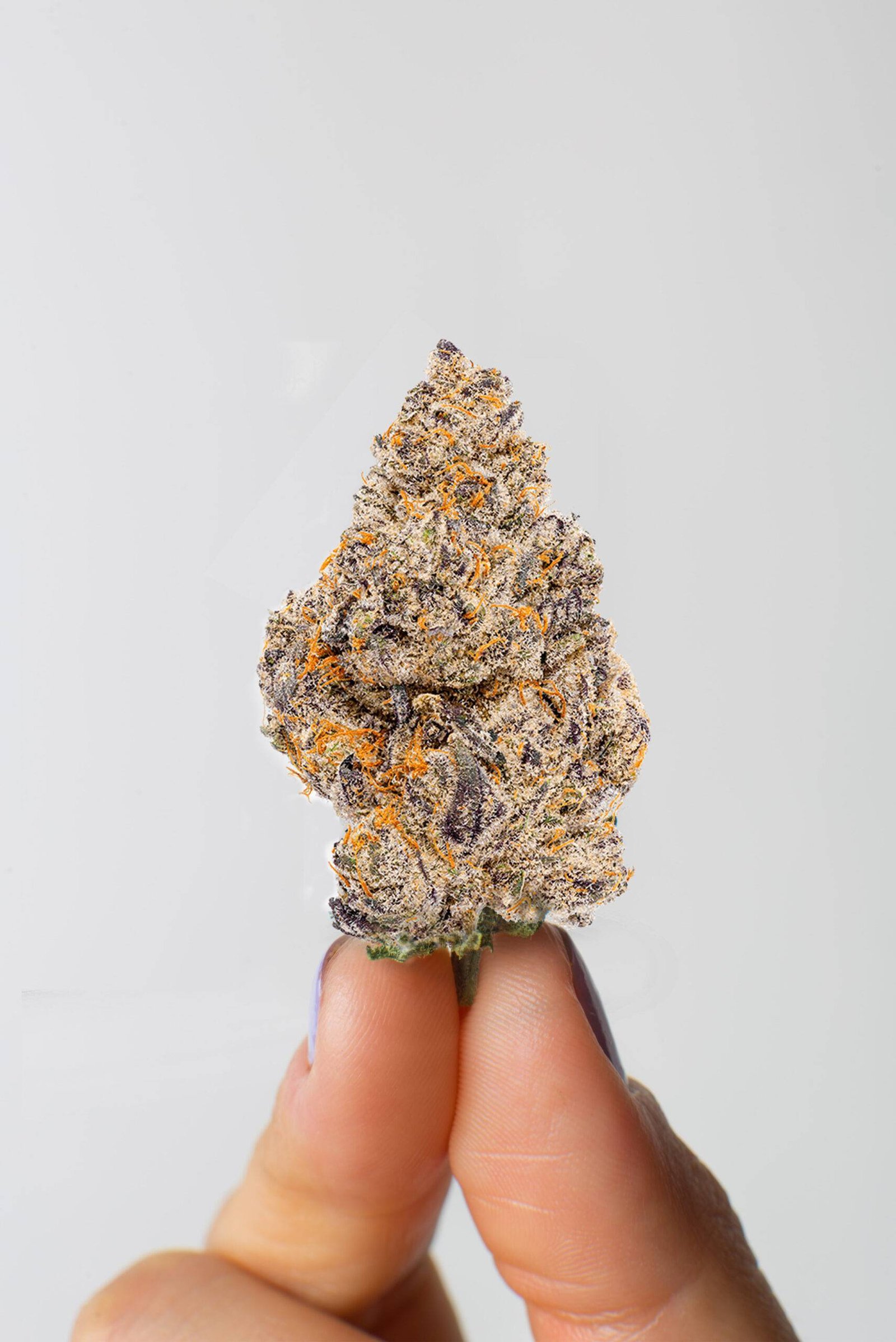 white widow white widow CBD