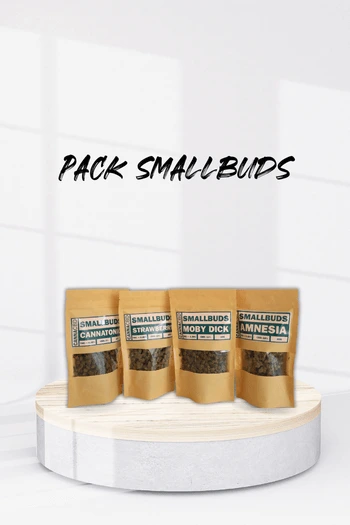 Pack smallbuds CBD + 20g Mobydick de Regalo!