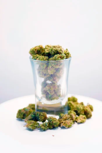 Cogollos Pequeños Lemon CBD