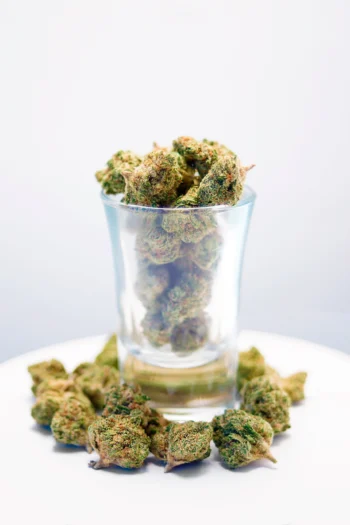 Cogollos Pequeños Og Kush CBD