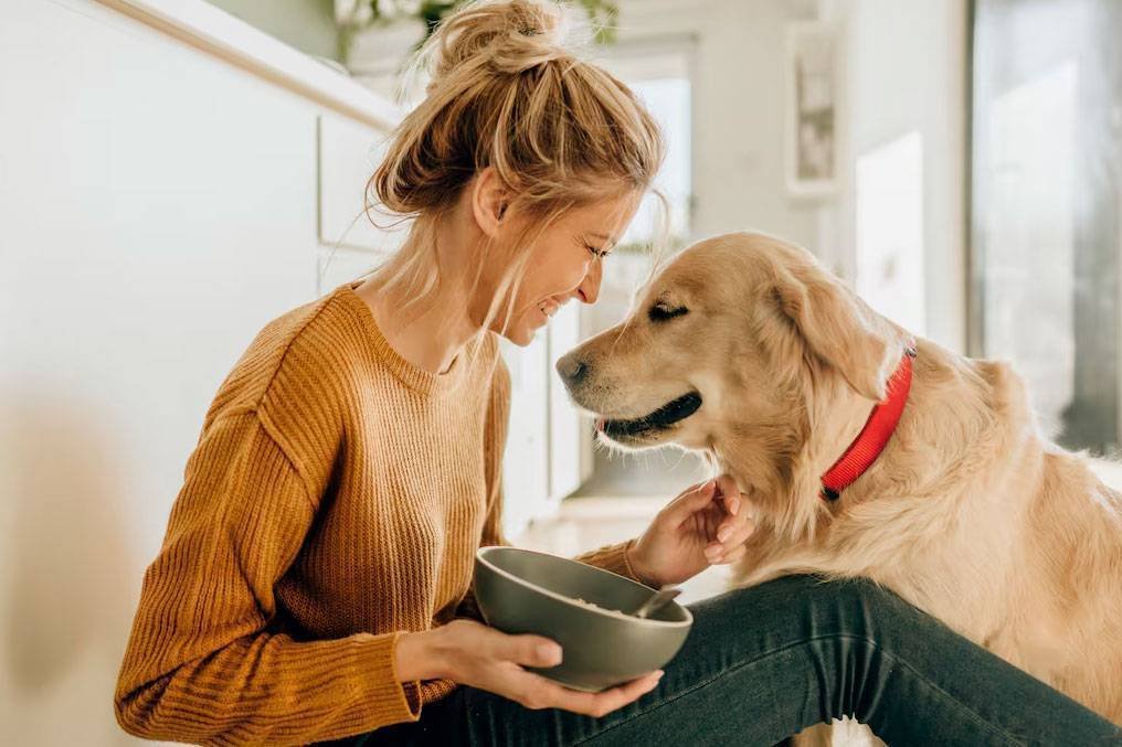 cbd para mascotas cbd precio