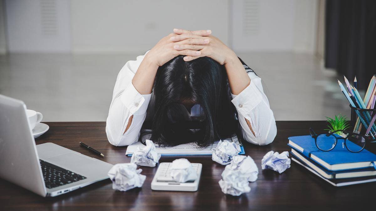 canna store cbd para el estres